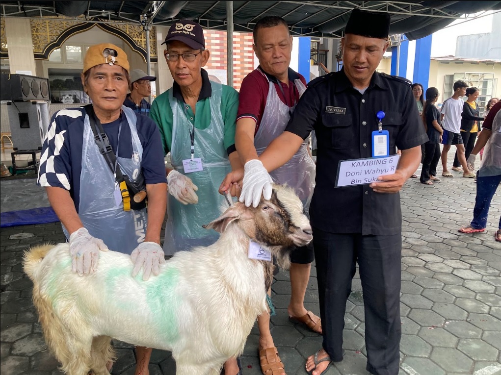 Kambing dari Bapak Doni Wahyu R Bin Sukadi