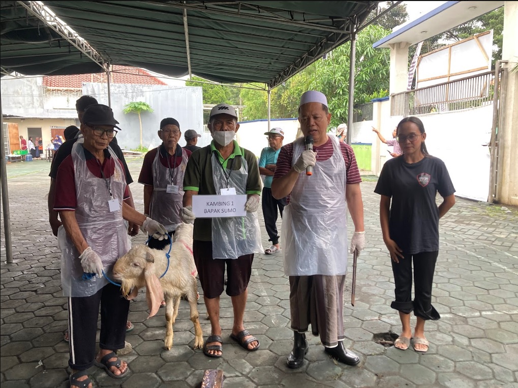 Kambing Dari Bapak Sumo