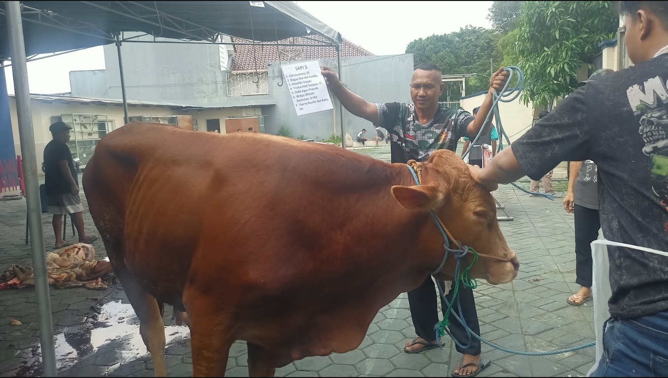 Sapi dari Edi Iwantoro, Bagus Dwi Adi Kartika, Maulida Inayati, Trisna Hadi Sanjana,Didik Agus Pranolo, Widya Meilani, Therta Rosida Nur Aulia