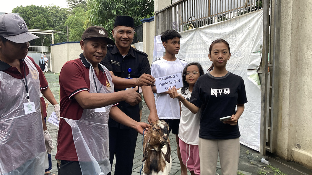 Kambing dari Bapak Djamali Bin Subur